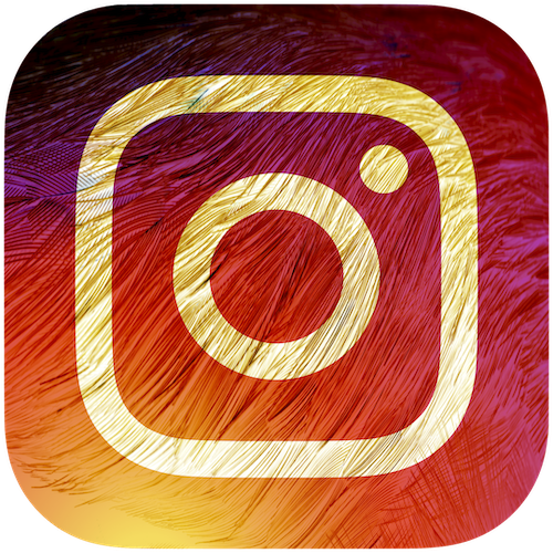 Instagram Icon